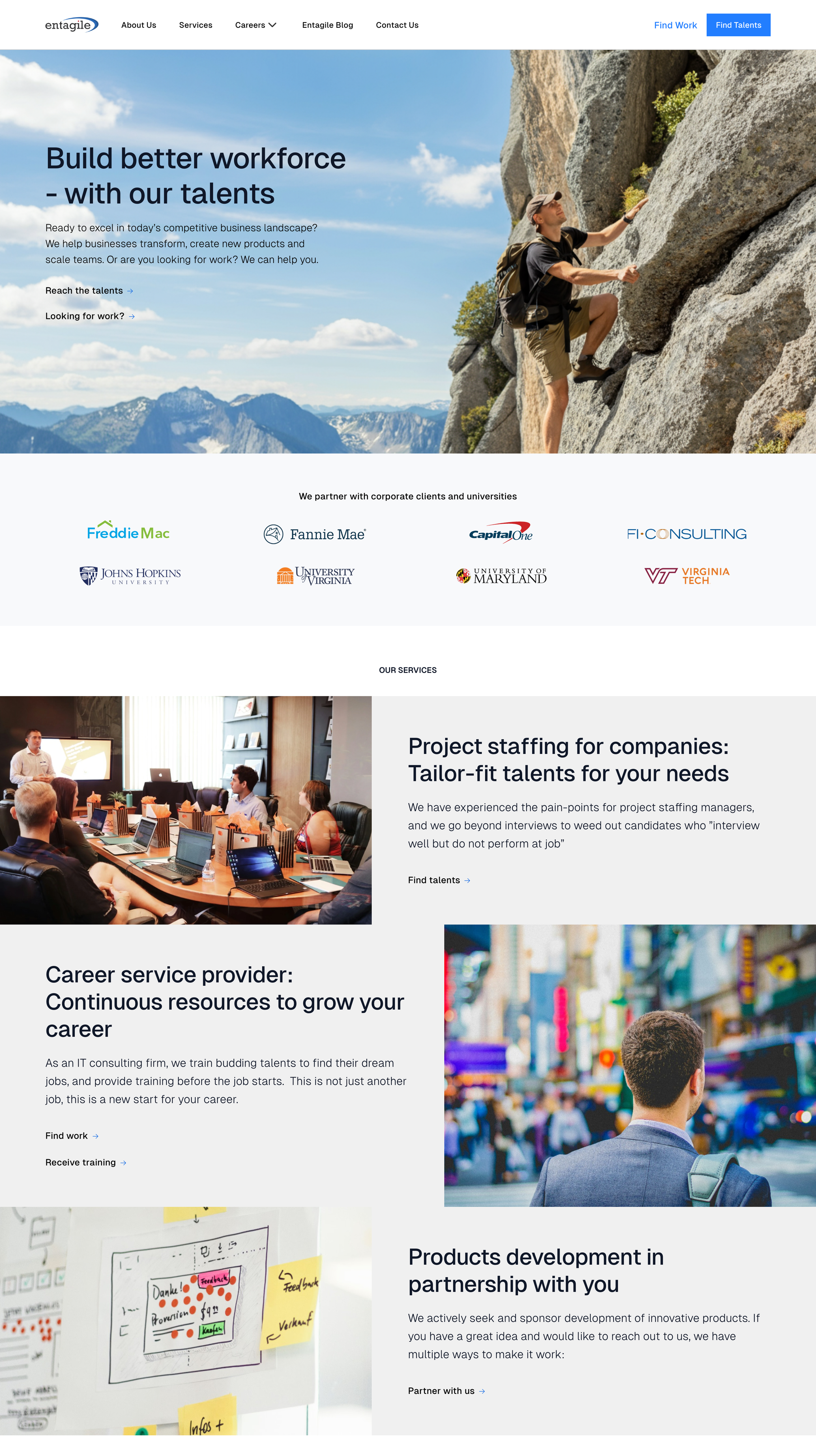 Entagile homepage — hero, partner logos, and three service tracks