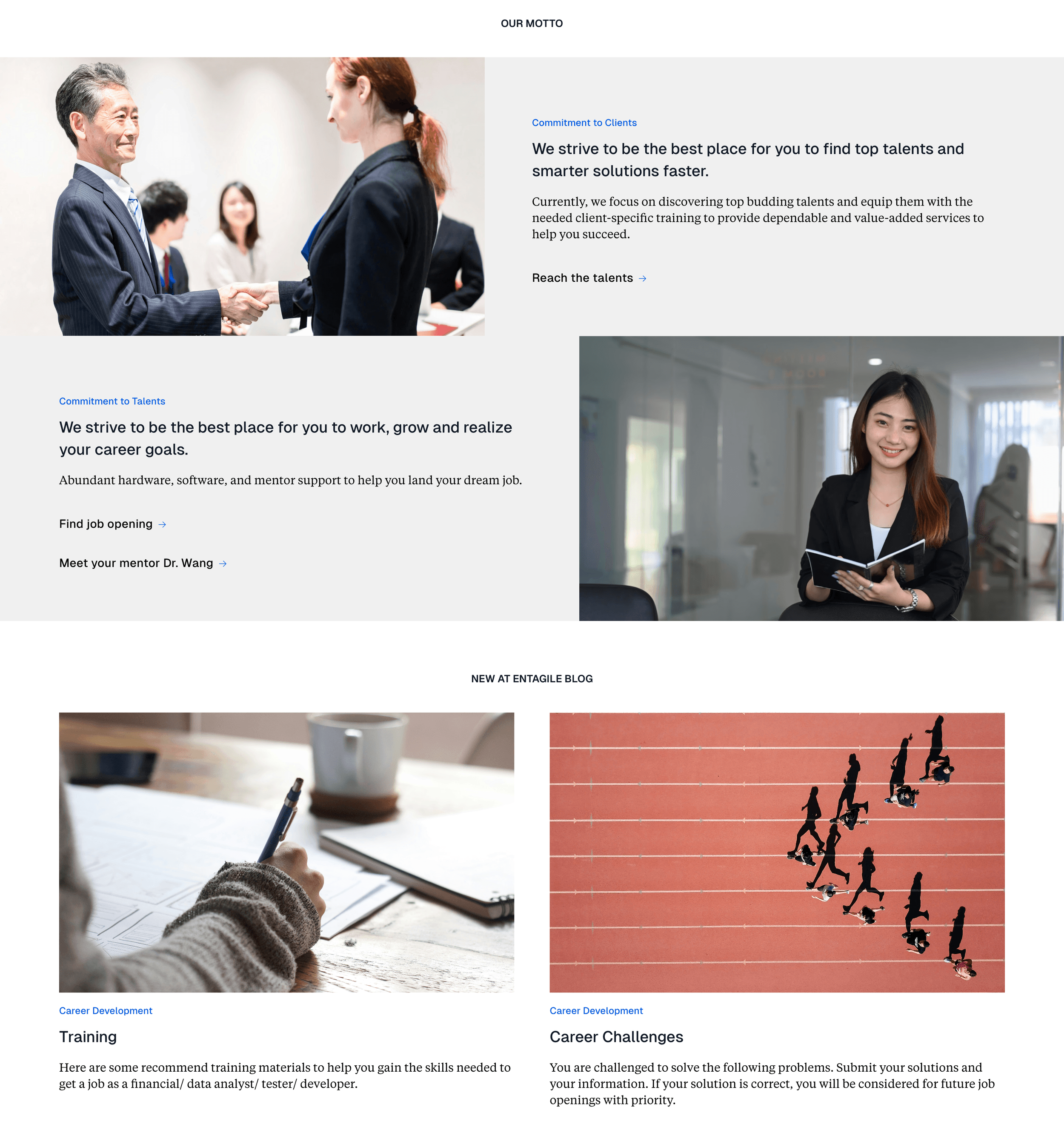 Entagile homepage — dual-pillar motto and blog
