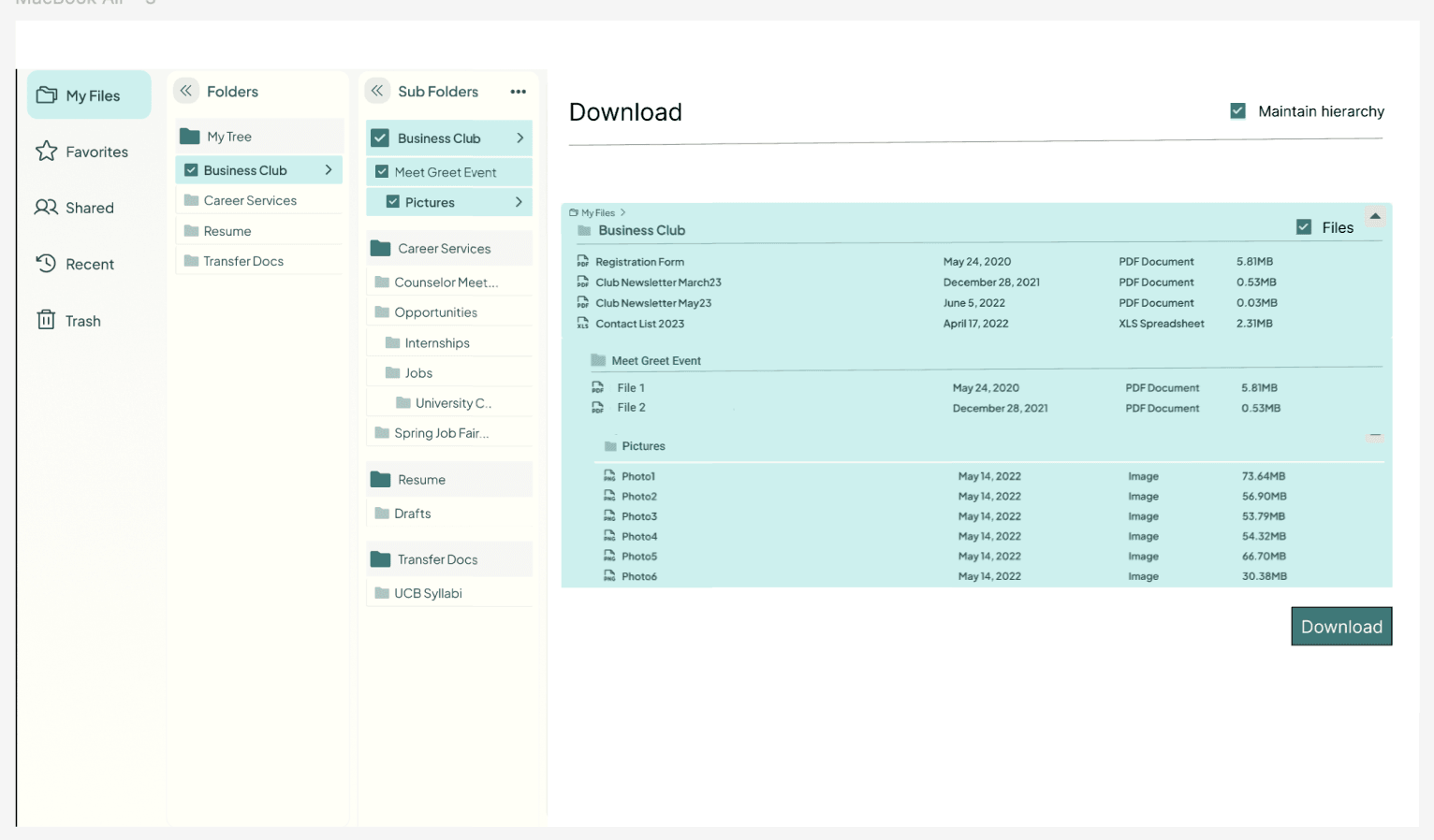 Download flow option two: an explicit Download button with a narrower preview panel.